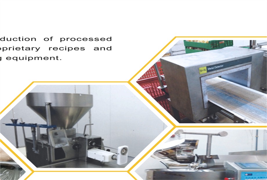 Recipes, marination and value-added production support Hong Qiao and in-house lines.